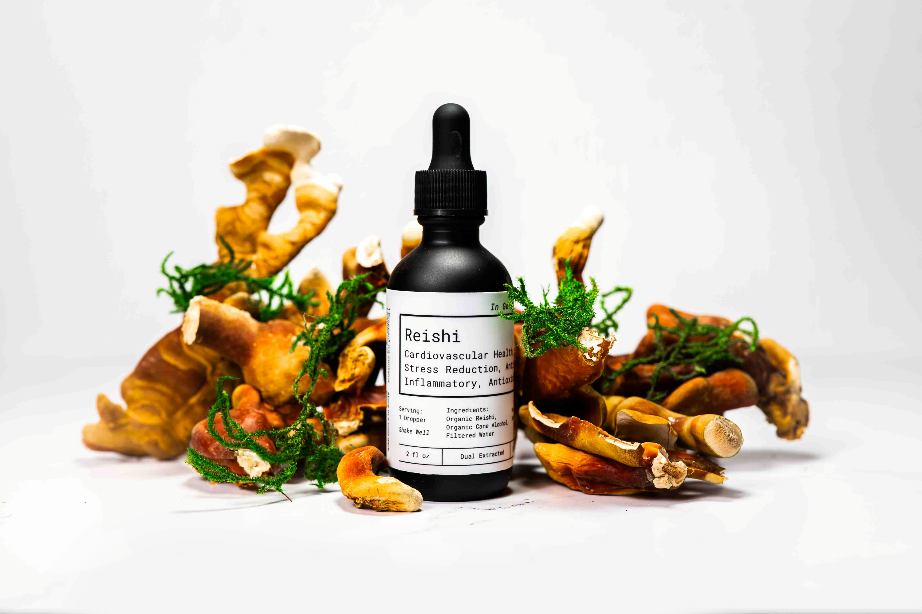 Reishi Mushroom Extract Tincture