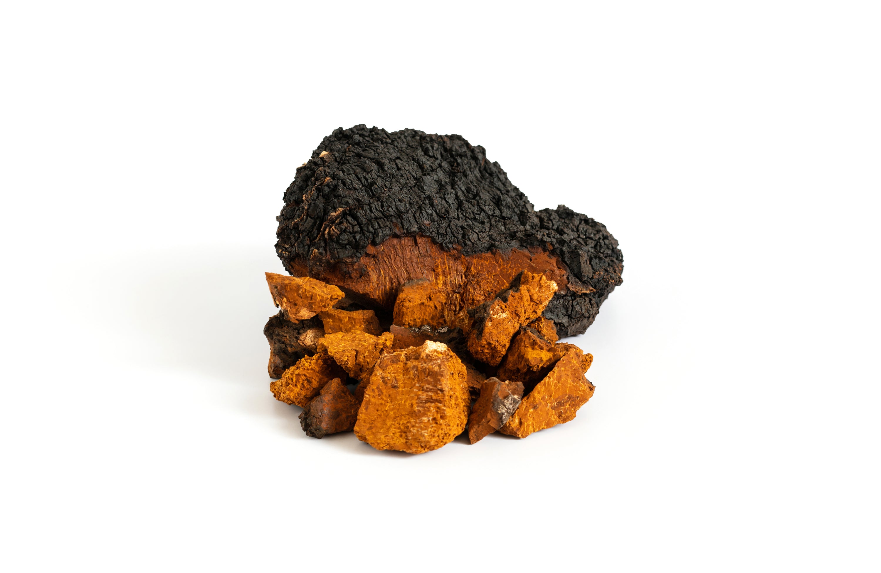 Wellness Mushroom Blend | Turkey Tail, Reishi, and Chaga