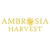 Ambrosia_Harvest_Mushrooms